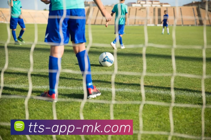 MK体育平台生态图